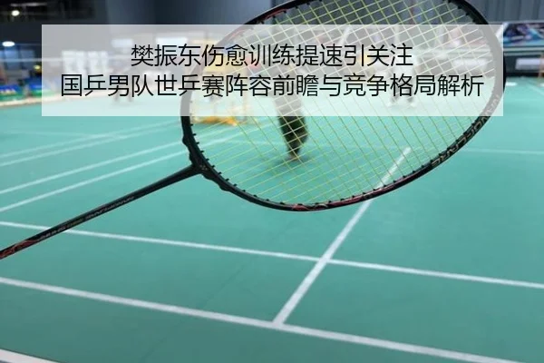 樊振东伤愈训练提速引关注 国乒男队世乒赛阵容前瞻与竞争格局解析