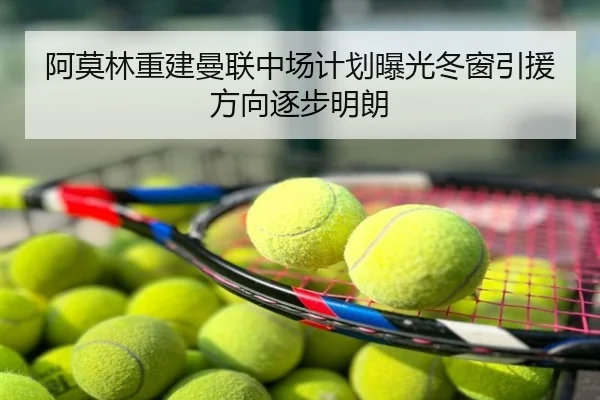 阿莫林重建曼联中场计划曝光冬窗引援方向逐步明朗